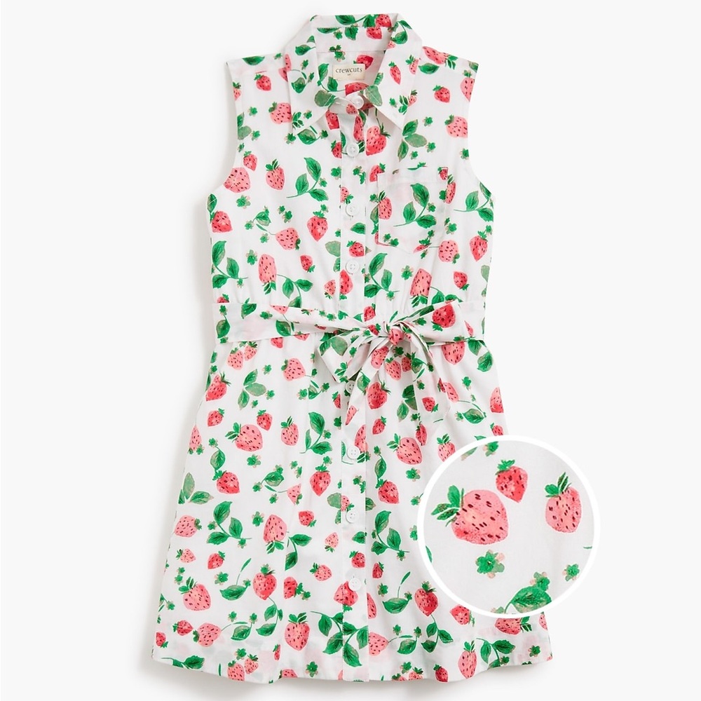 J CREW Girls' strawberry tie-waist shirt-dress